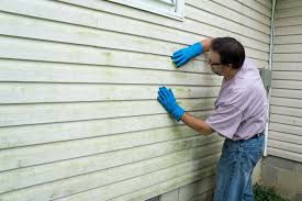 Best Siding Painting and Refinishing  in Mcchord Af, WA